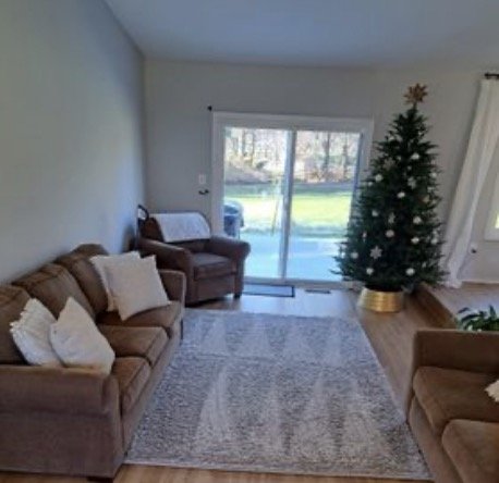 A freshly cleaned living room with sofas, a rug and a sliding glass door